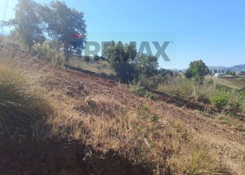 Non correlato - Terreno edificabile C.da catalano-Piano grande
snc, Bolognetta - foto 11
