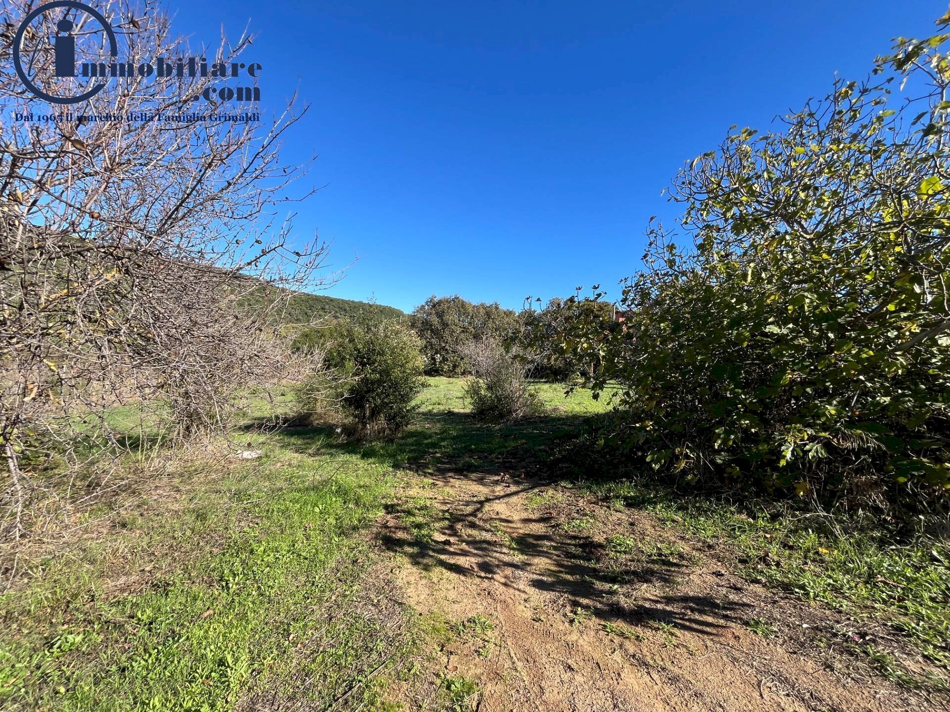 Foto 3 - Terreno edificabile Via torino, Bari Sardo - foto 3