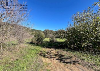 Foto 3 - Terreno edificabile Via torino, Bari Sardo - foto 3