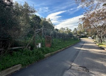 Foto 5 - Terreno edificabile Via Calamoresca, Tortolì - foto 5