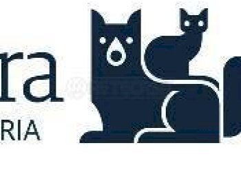 clinica veterinaria Sirio - Portion of a house Via Caldonazzo, Caldogno - photo 27