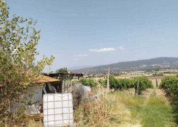 terreno - Rustico Via Cupa 98, Marsciano - foto 14