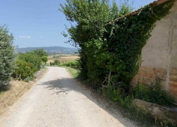 viste - Rustico Via Cupa 98, Marsciano - foto 30