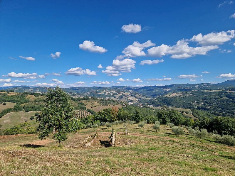 20250904_160752.jpg - Building land VOC. CAPANNE ALTE  SNC, Perugia - photo 2