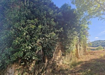 20250904_161255.jpg - Building land VOC. CAPANNE ALTE  SNC, Perugia - photo 12