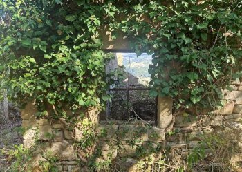 20250904_161339.jpg - Building land VOC. CAPANNE ALTE  SNC, Perugia - photo 13