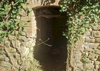 20250904_161350.jpg - Building land VOC. CAPANNE ALTE  SNC, Perugia - photo 15