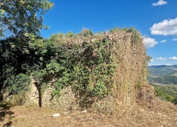 20250904_161420.jpg - Building land VOC. CAPANNE ALTE  SNC, Perugia - photo 16