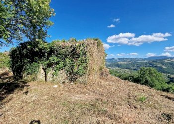 20250904_161423.jpg - Building land VOC. CAPANNE ALTE  SNC, Perugia - photo 17