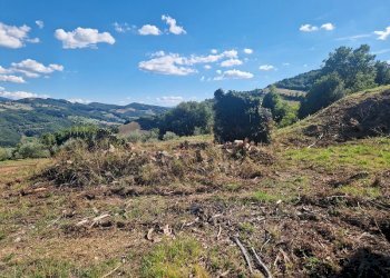 20250904_161823.jpg - Building land VOC. CAPANNE ALTE  SNC, Perugia - photo 23