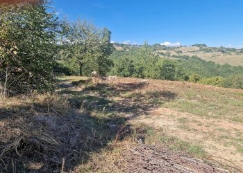 20250904_161847.jpg - Building land VOC. CAPANNE ALTE  SNC, Perugia - photo 24