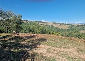 20250904_161858.jpg - Building land VOC. CAPANNE ALTE  SNC, Perugia - photo 25