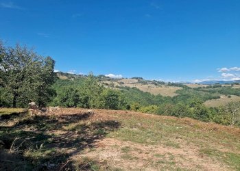 20250904_161903.jpg - Building land VOC. CAPANNE ALTE  SNC, Perugia - photo 26