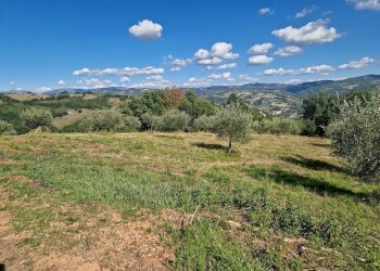 20250904_162100.jpg - Building land VOC. CAPANNE ALTE  SNC, Perugia - photo 29