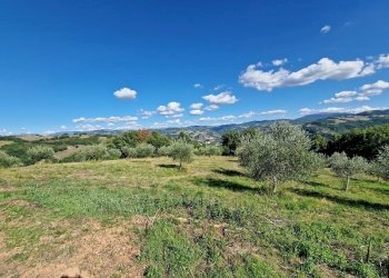 20250904_162104.jpg - Building land VOC. CAPANNE ALTE  SNC, Perugia - photo 30