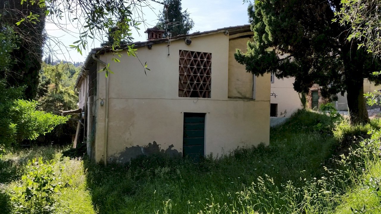 20150528_173658.jpg - Rustico bocconi, Lucca - foto 1