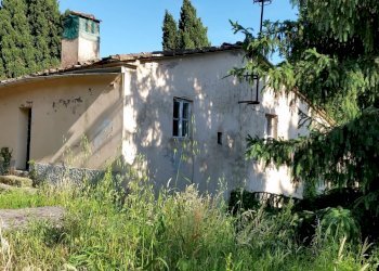 20150528_173901.jpg - Rustico bocconi, Lucca - foto 2