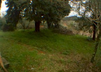 DSCN8654.JPG - Rustico bocconi, Lucca - foto 6