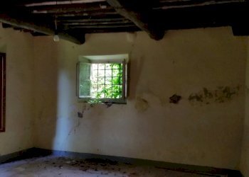 20150528_173112.jpg - Rustico bocconi, Lucca - foto 8