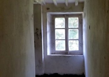 20150528_171402.jpg - Rustico bocconi, Lucca - foto 11