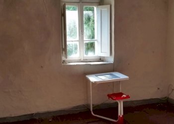 20150528_171418.jpg - Rustico bocconi, Lucca - foto 13