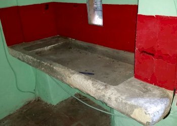 20150528_171846.jpg - Rustico bocconi, Lucca - foto 16