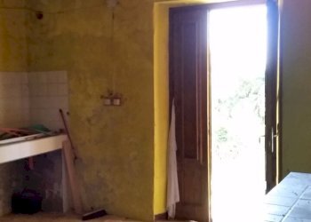 20150528_173124.jpg - Rustico bocconi, Lucca - foto 19