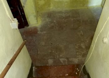 20150528_173330.jpg - Rustico bocconi, Lucca - foto 22