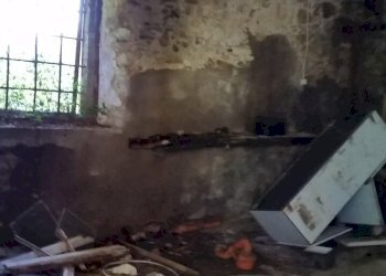 20150528_173503.jpg - Rustico bocconi, Lucca - foto 25