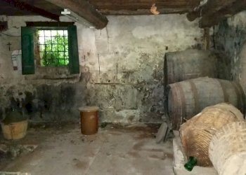 20150528_173545.jpg - Rustico bocconi, Lucca - foto 27