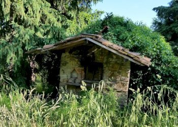 20150528_173914.jpg - Rustico bocconi, Lucca - foto 29