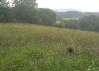 20180820_170409.jpg - Porzione di casa Località Sismano, Avigliano Umbro - foto 3