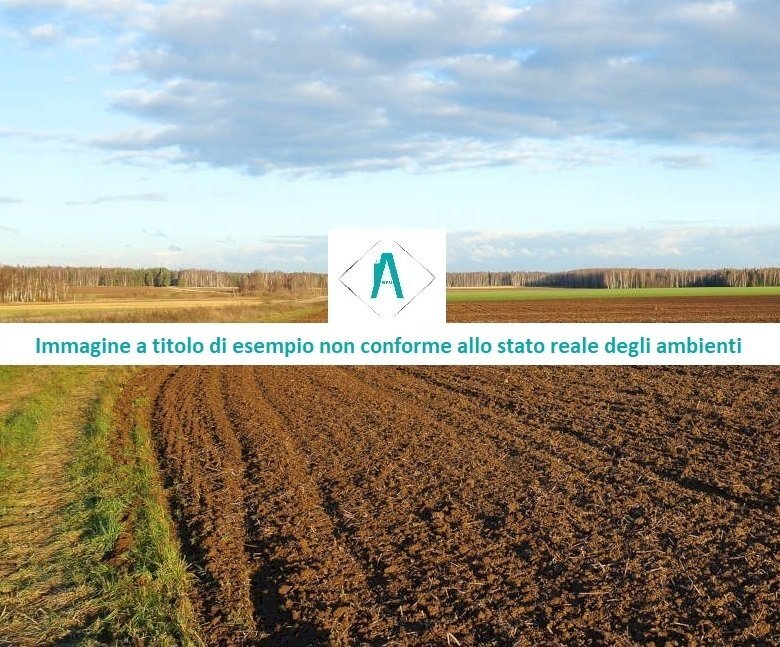 terreno 2.jpg - Terreno edificabile all'asta Localita Bordini snc, Capriata d'Orba - foto 2