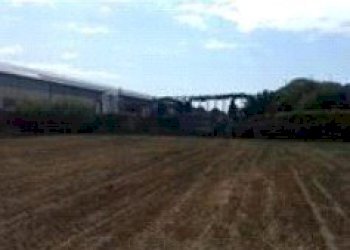 8.jpg - Terreno edificabile all'asta Via Pedemonte snc, Arcola - foto 4