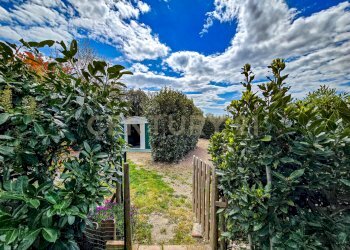 Podere Appeddu-01.jpg - Casale podere poderina 5, Civitella Paganico - photo 4