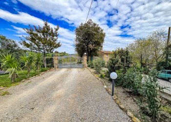 Podere Appeddu-05.jpg - Casale podere poderina 5, Civitella Paganico - photo 5