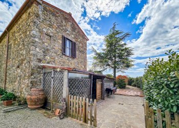 Podere Appeddu-06.jpg - Casale podere poderina 5, Civitella Paganico - photo 6