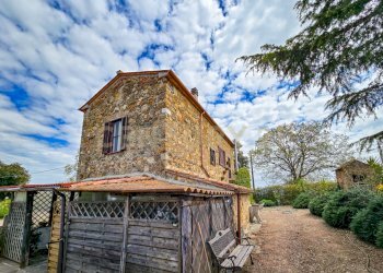 Podere Appeddu-03.jpg - Casale podere poderina 5, Civitella Paganico - photo 10