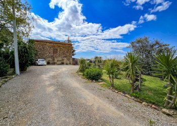 Podere Appeddu-04.jpg - Casale podere poderina 5, Civitella Paganico - photo 11