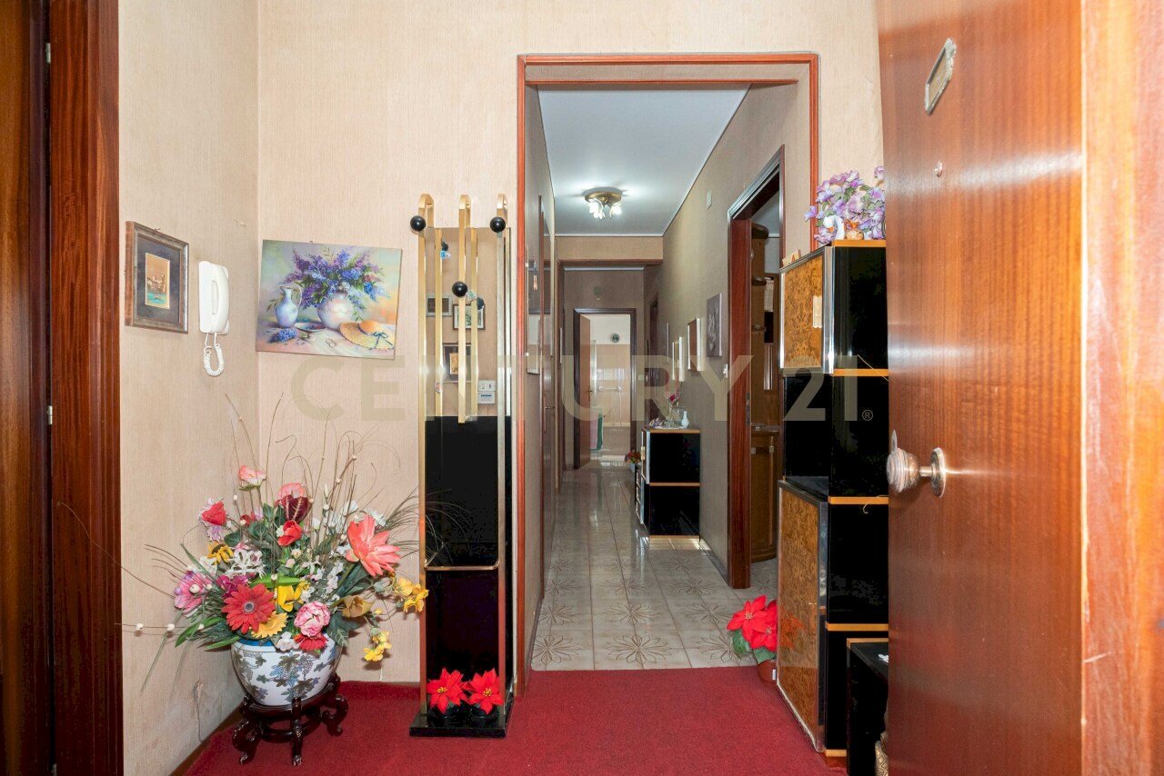 DSC02024.jpg - Quadrilocale Viale Castagnola 9, Catania - foto 3