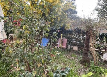 IMG_9929.jpeg - Appartamento Via damiano chiesa, Ancona - foto 2