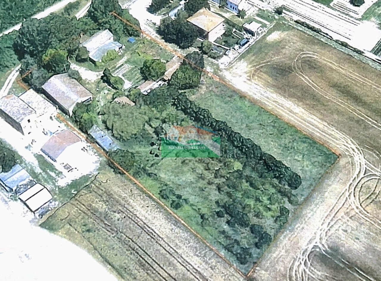 IMG_2806.jpg - Casale Via Fiume Montone Abbandonato, Ravenna - photo 2