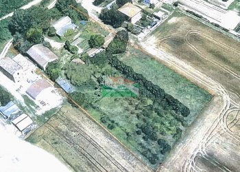 IMG_2806.jpg - Casale Via Fiume Montone Abbandonato, Ravenna - photo 2