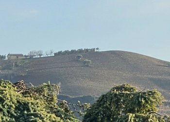 Foto 15 - Appartamento Via Tirso, Teramo - foto 15