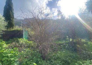 Terreno - Terreno agricolo via Cozzo Schinaldi, Terrasini - foto 6