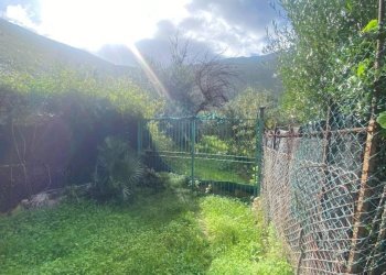 Giardino - Terreno agricolo via Cozzo Schinaldi, Terrasini - foto 7