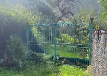 Terreno - Terreno agricolo via Cozzo Schinaldi, Terrasini - foto 9