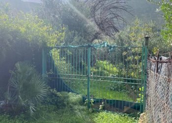 Terreno - Terreno agricolo via Cozzo Schinaldi, Terrasini - foto 10