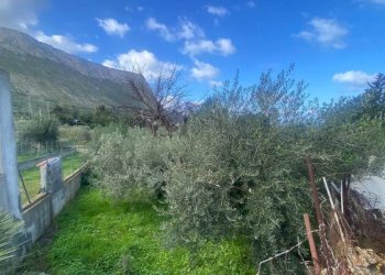 Terreno - Terreno agricolo via Cozzo Schinaldi, Terrasini - foto 11