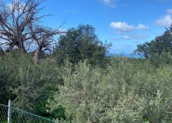 Terreno - Terreno agricolo via Cozzo Schinaldi, Terrasini - foto 12